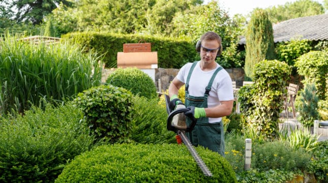 .5 Tips for Choosing Landscaping Tools and Equipment for Your Business