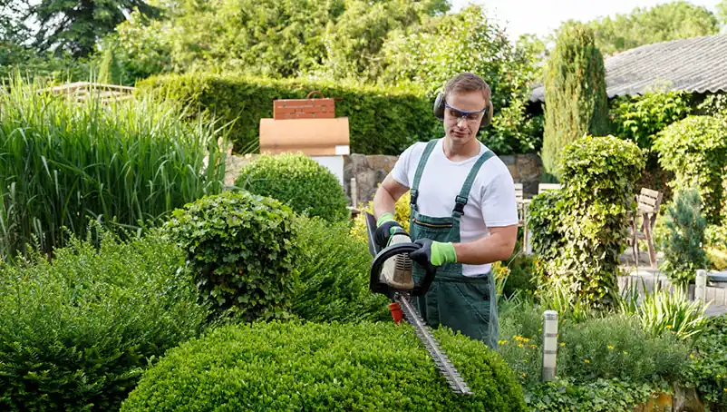 .5 Tips for Choosing Landscaping Tools and Equipment for Your Business