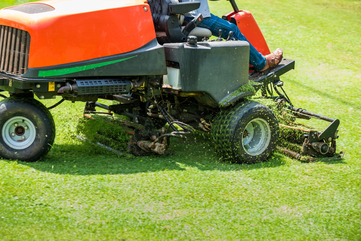 landscaping equipment and tools