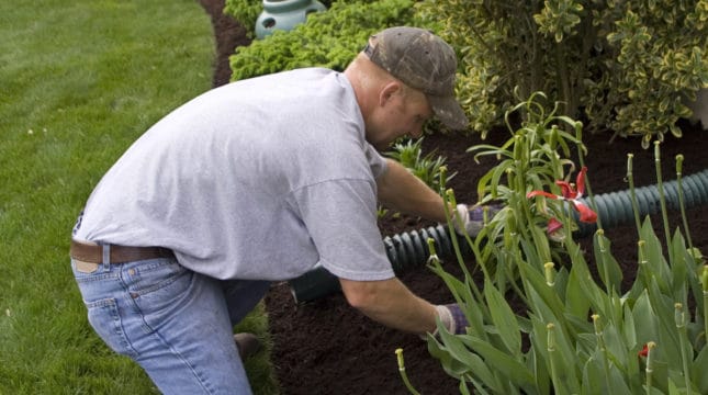 5 Factors to Consider when Choosing Lawn Care Insurance