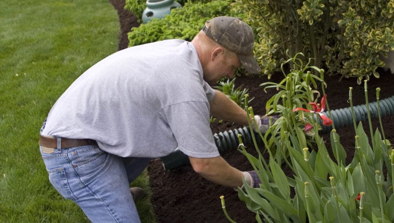 5 Factors to Consider when Choosing Lawn Care Insurance