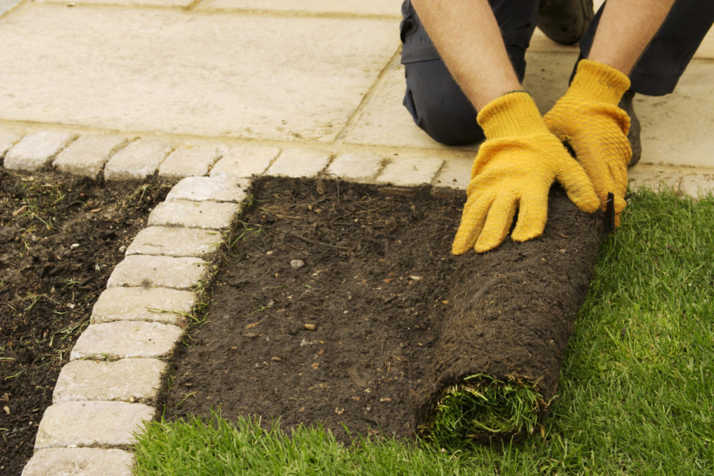 choosing lawn care business insurance