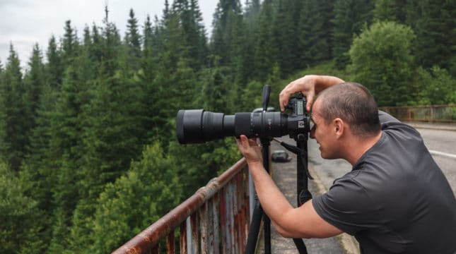 Weddings, Nature or Products? How to Find Your Photography Niche