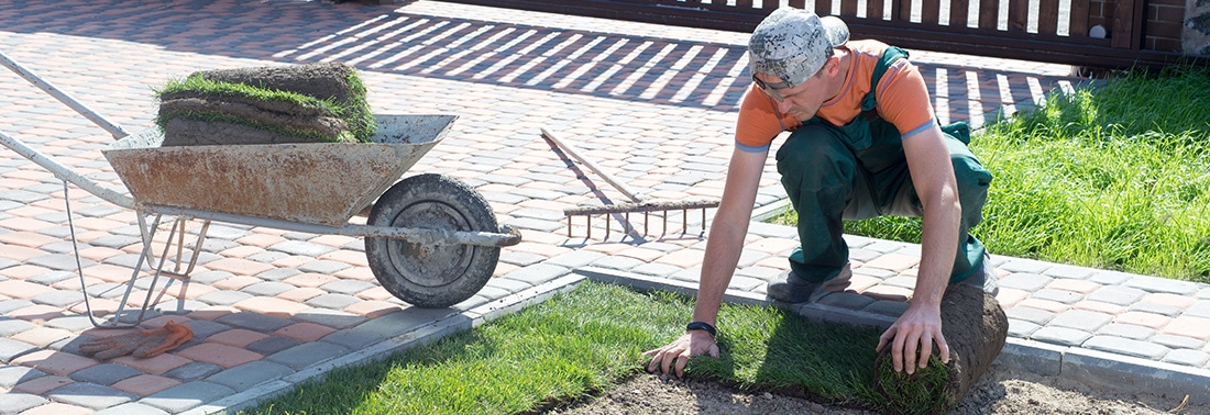 Landscaper Licensing Requirements by State