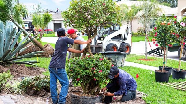 How to Bid on Landscaping Jobs and Win More Business