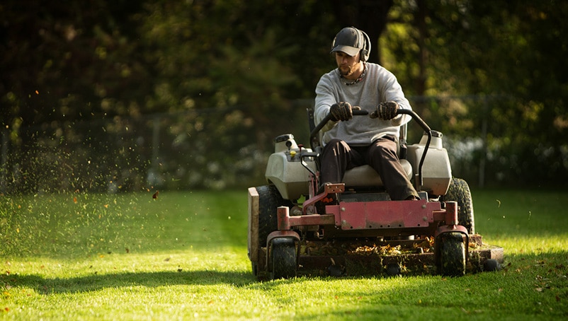 Build a Lawn Care Business Plan