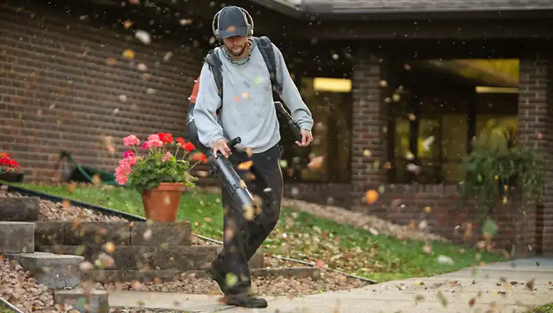 Create an ultimate lawn care business plan in 7 steps