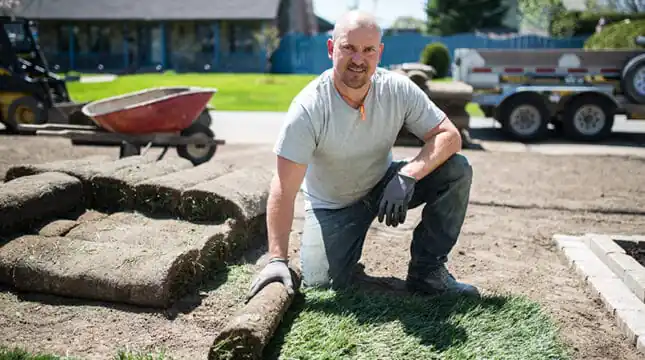 4 common landscaping business insurance claims and how to avoid them