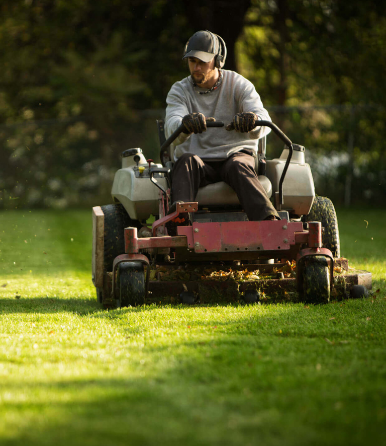 Grass Seeding