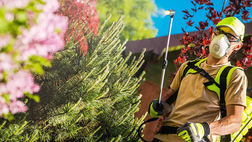 Landscaper licensing requirements by state: A comprehensive guide