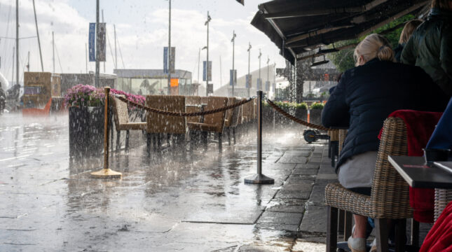 Weather-related damages and business insurance: Insights from restaurant owners