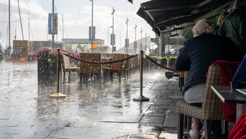 Weather-related damages and business insurance: Insights from restaurant owners