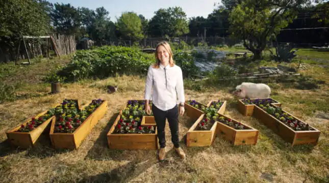 Is NEXT Insurance Legit? (Spoiler alert: Yes)