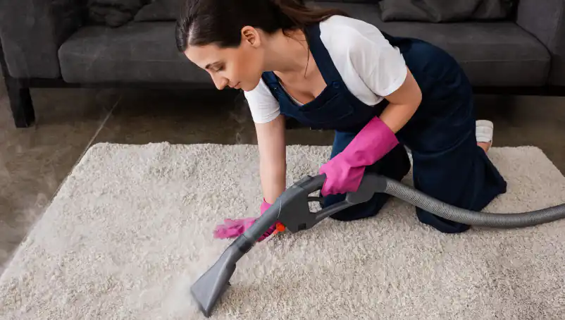 How to start a carpet cleaning business: Step-by-step guide